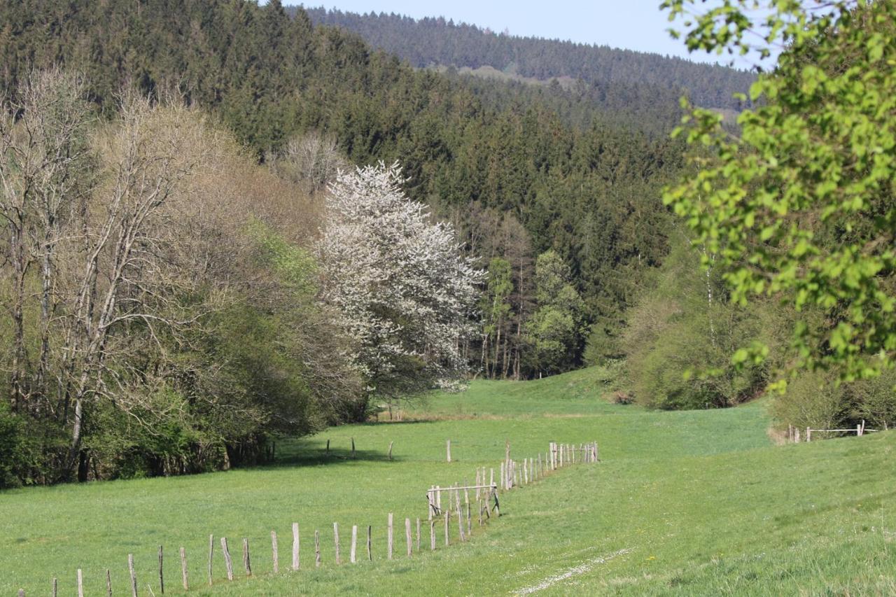 Le Clos Du Cerf - Le Sous-Bois สตูมองต์ ภายนอก รูปภาพ
