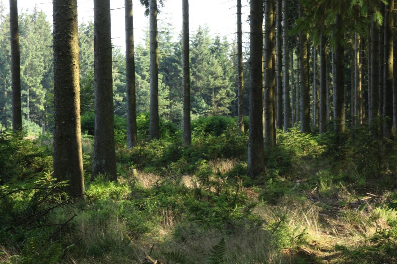 Le Clos Du Cerf - Le Sous-Bois สตูมองต์ ภายนอก รูปภาพ