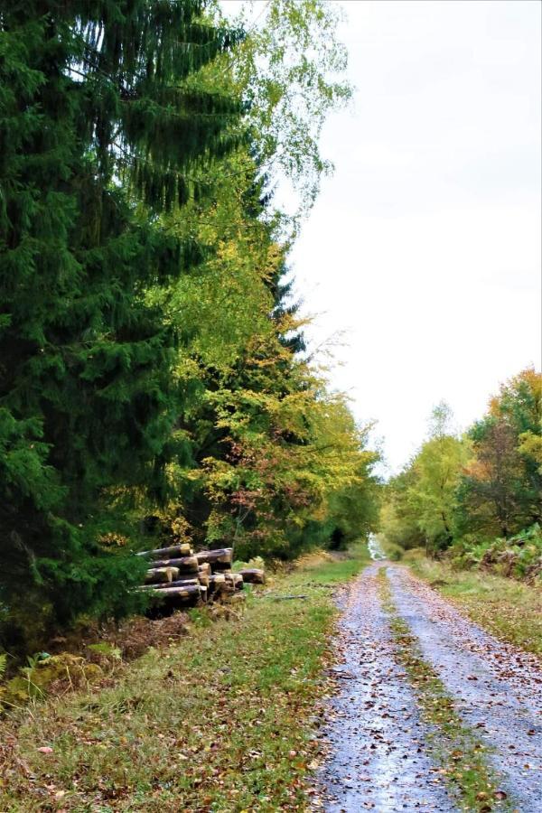 Le Clos Du Cerf - Le Sous-Bois สตูมองต์ ภายนอก รูปภาพ